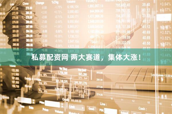 私募配资网 两大赛道，集体大涨！