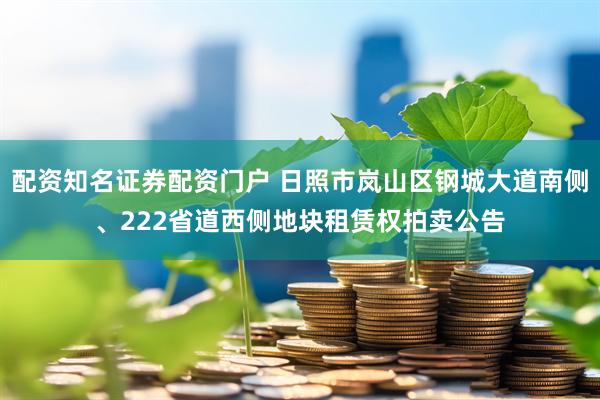 配资知名证券配资门户 日照市岚山区钢城大道南侧、222省道西侧地块租赁权拍卖公告